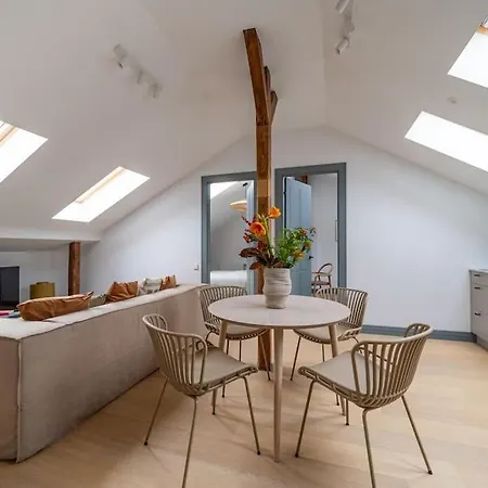 Bright Designer Mansard In City Centre Apartament
